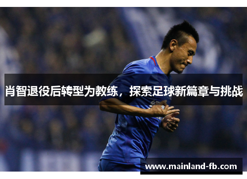 肖智退役后转型为教练，探索足球新篇章与挑战