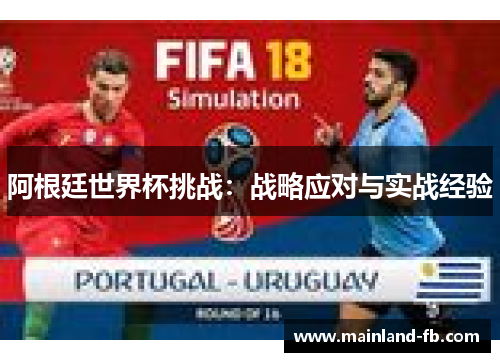阿根廷世界杯挑战：战略应对与实战经验