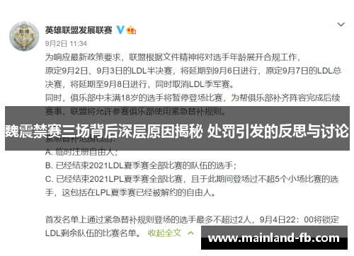 魏震禁赛三场背后深层原因揭秘 处罚引发的反思与讨论