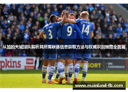 从加的夫城球队解析其所属联赛信息获取方法与权威识别指南全面篇
