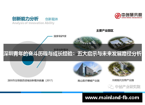 深圳青年的奋斗历程与成长经验：五大启示与未来发展路径分析