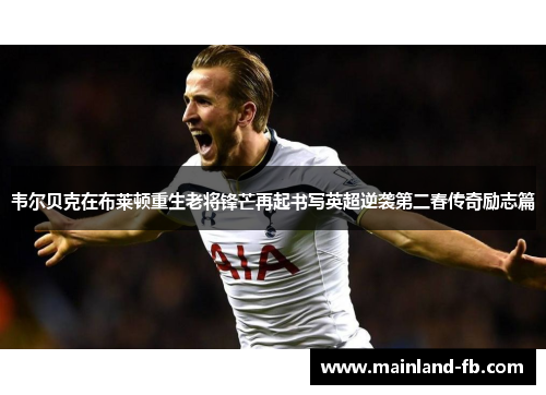 韦尔贝克在布莱顿重生老将锋芒再起书写英超逆袭第二春传奇励志篇