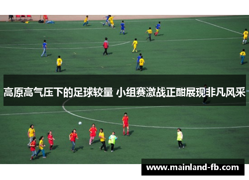 高原高气压下的足球较量 小组赛激战正酣展现非凡风采