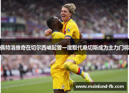 佩特洛维奇在切尔西崛起曾一度取代桑切斯成为主力门将
